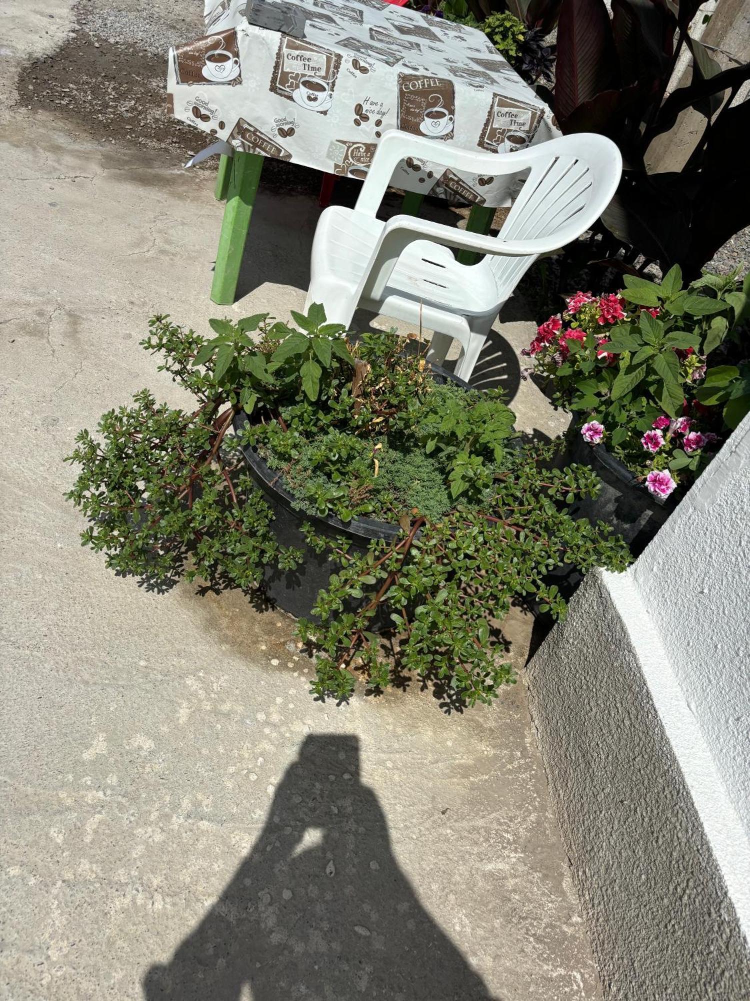 Hostel,Halal Хостел,Халал Tokmok Exteriér fotografie